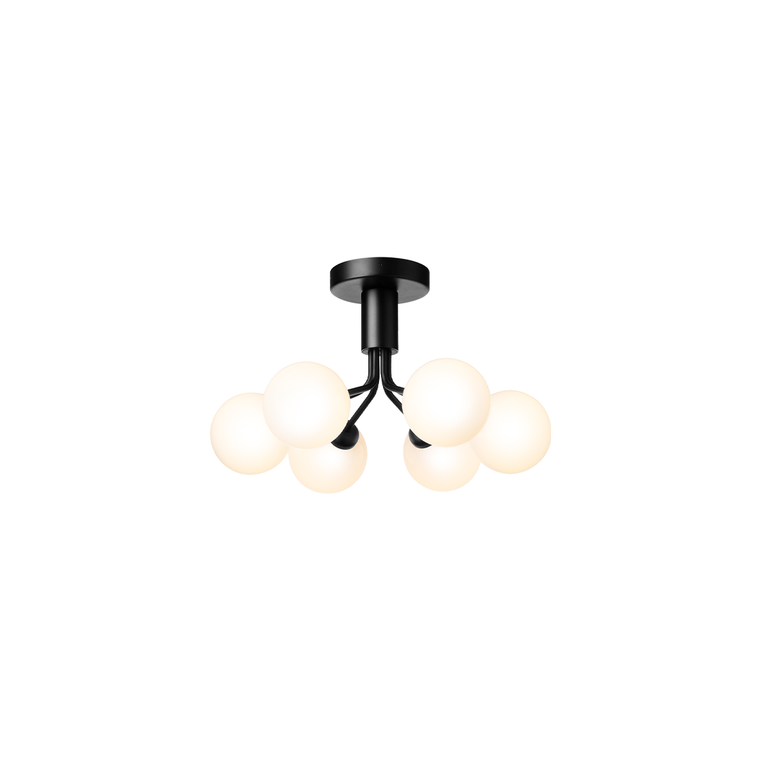 Apiales 6 Ceiling, satin black / opal