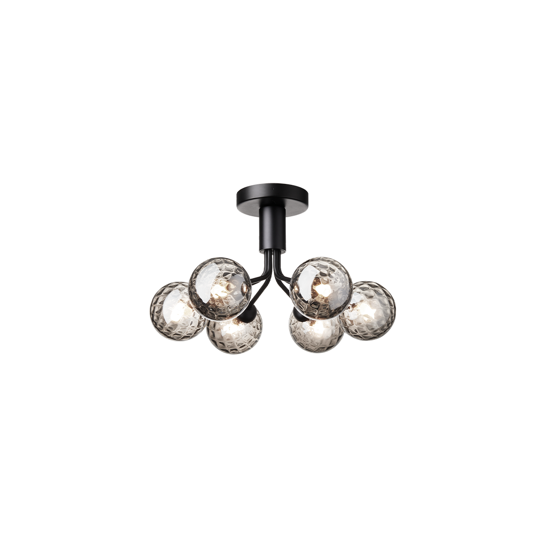 Apiales 6 Ceiling, satin black / optic smoked