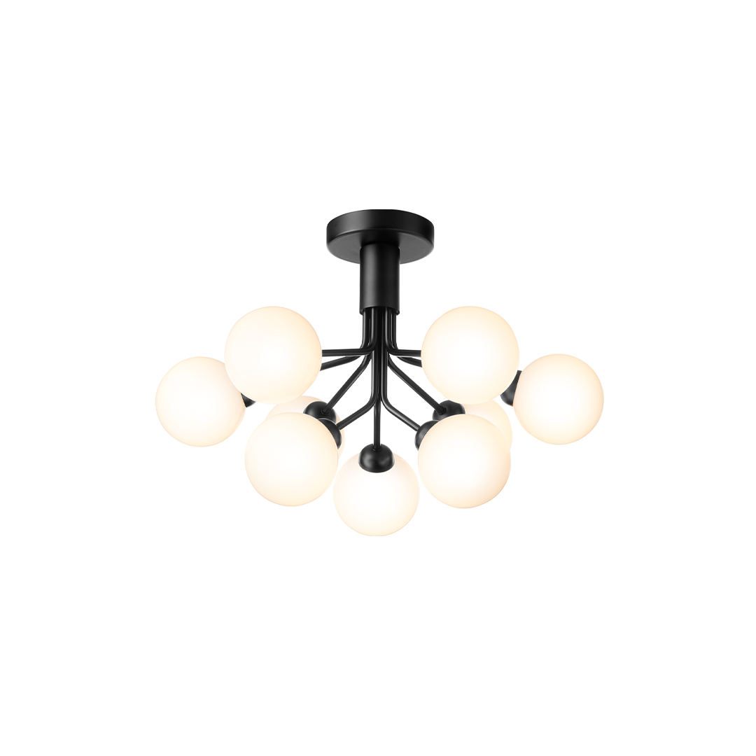 Apiales 9 Ceiling, satin black / opal