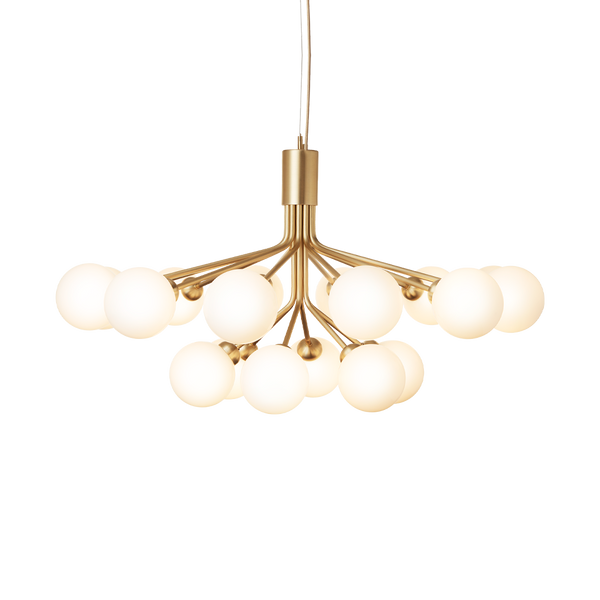 Apiales 18, brushed brass / opal