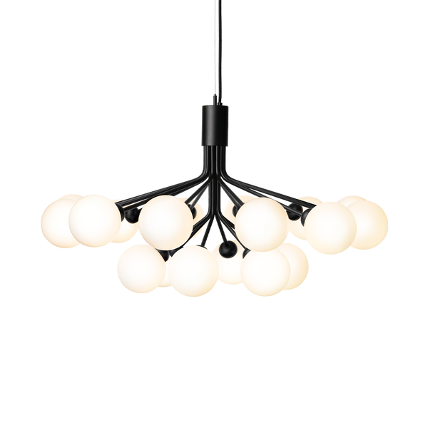 Apiales 18, satin black / opal