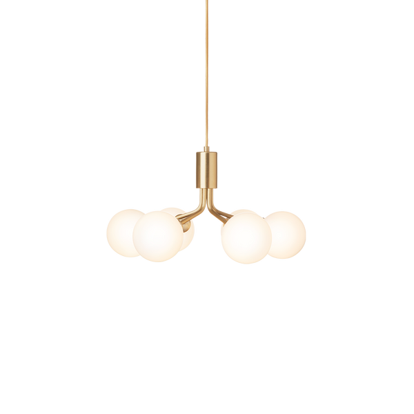 Apiales 6, brushed brass / opal