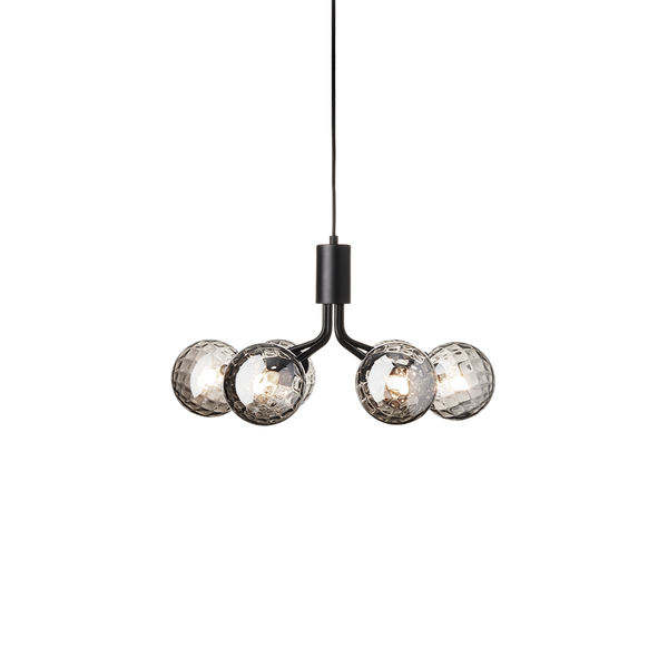 Apiales 6, satin black / optic smoked