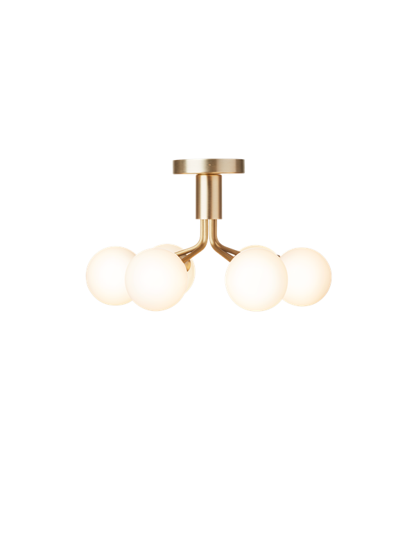 Apiales 6 Ceiling, brushed brass / opal